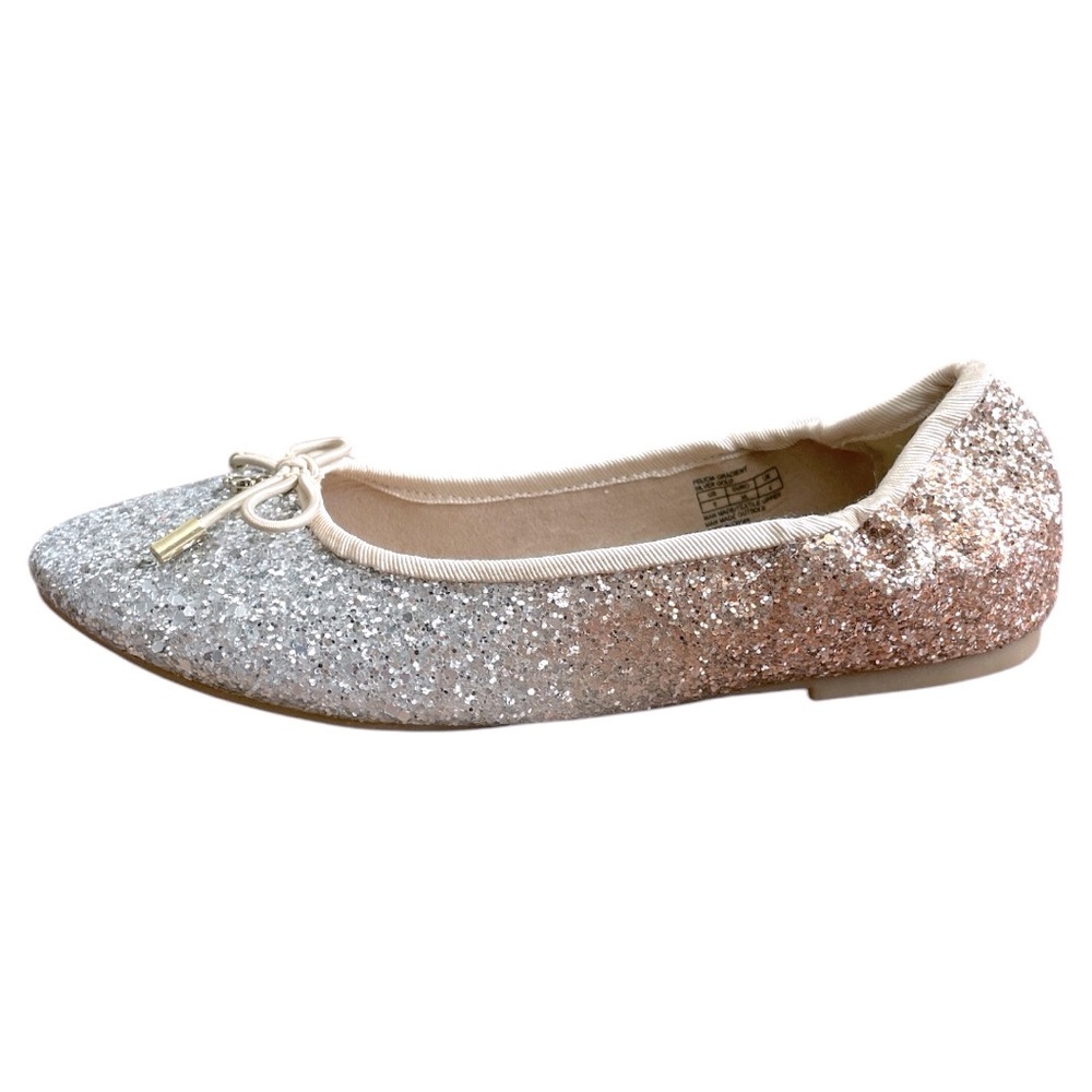 NWT Sam Edelman Felicia Gradient Ballerina Flats Size 5
